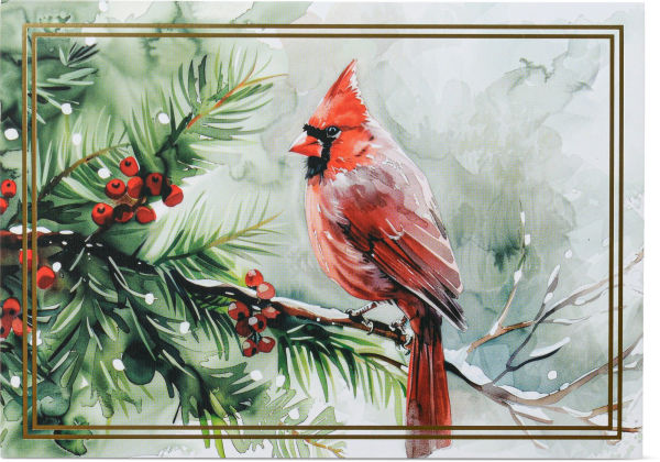 Cardinal On Pine Bough Boxed Christmas Cards Set of 20
