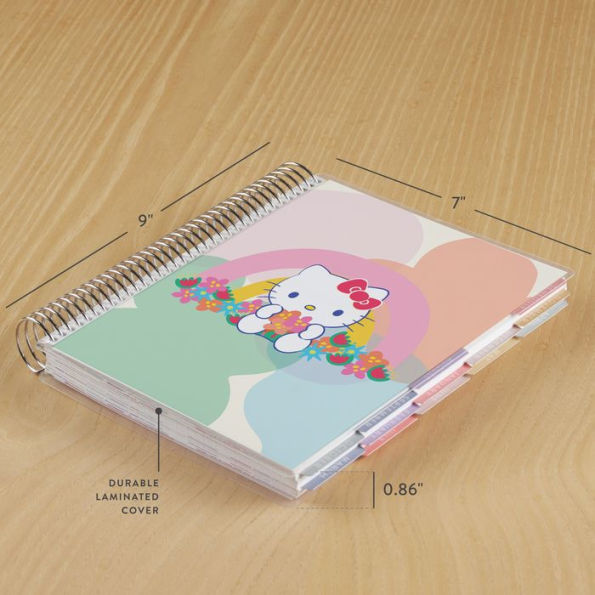 7x9 Erin Condren 2024-2025 Academic Planner, Hello Kitty Rainbow Relaxation