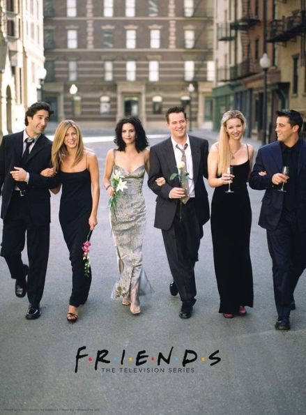 Friends Wedding 500 Piece Jigsaw Puzzle