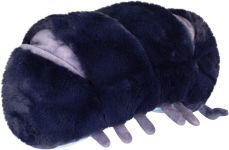 Alternative view 3 of Mini Pill Bug