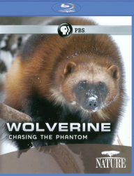 Title: Nature: Wolverine - Chasing the Phantom [Blu-ray]