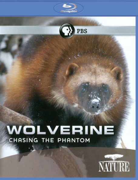 Nature: Wolverine - Chasing the Phantom [Blu-ray]