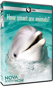 Title: NOVA scienceNOW: How Smart Are Animals?