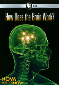 Title: NOVA scienceNOW: How Does the Brain Work?