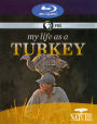 Nature: My Life as a Turkey [Blu-ray]