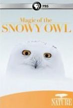 Title: Nature: Magic of the Snowy Owl