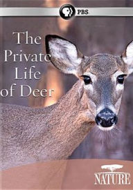 Title: Nature: The Private Life of Deer