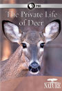 Nature: The Private Life of Deer