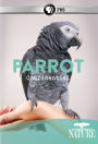 Nature: Parrot Confidential