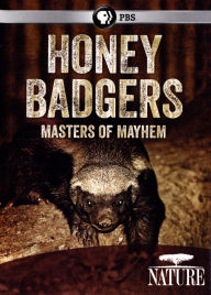 Title: NATURE: HONEY BADGERS: MASTERS