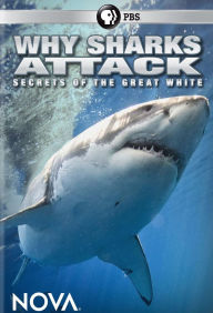 Title: WHY SHARKS ATTACK