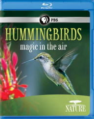 Title: Nature: Hummingbirds: Magic in the Air [Blu-ray]