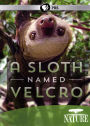 Nature: A Sloth Named Velcro