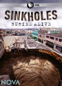 NOVA: Sinkholes - Buried Alive