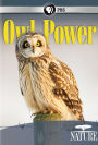 Nature: Owl Power