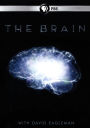 The Brain with David Eagleman