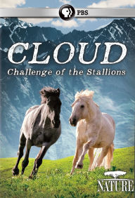 Title: CLOUD CHALLENGE OF THE STALLION