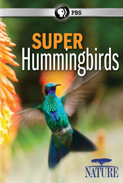 Nature: Super Hummingbirds