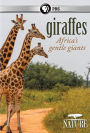 Nature: Giraffes - Africa's Gentle Giants