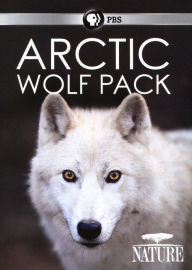 Title: Nature: Arctic Wolf Pack