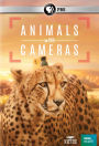 Nature: Animals with Cameras