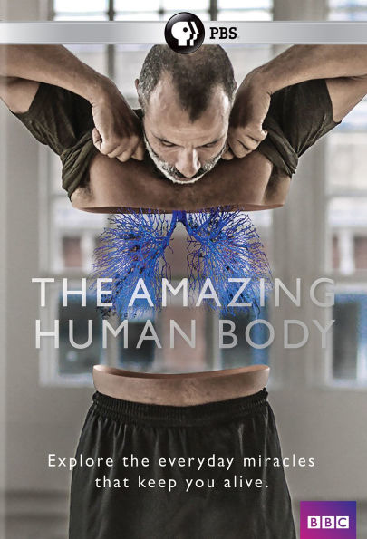 The Amazing Human Body