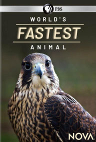 Title: NOVA: World's Fastest Animal