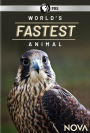 NOVA: World's Fastest Animal