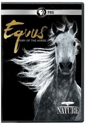 Nature: Equus - Story of the Horse by Niobe Thompson |Niobe ...