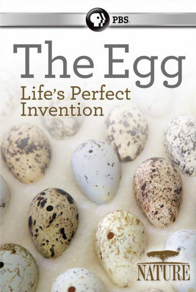 Nature: The Egg - Life's Perfect Invention