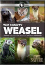 Nature: The Mighty Weasel