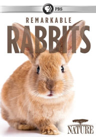 Title: Nature: Remarkable Rabbits