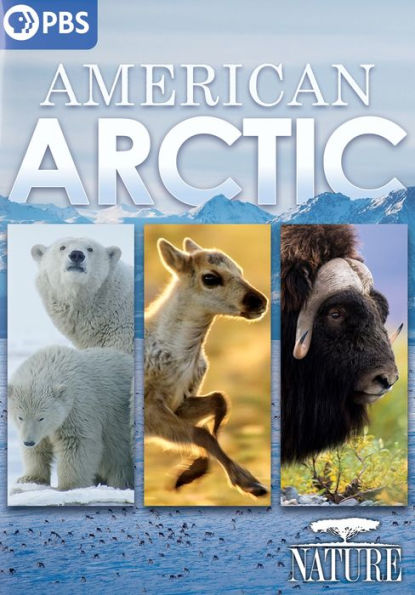 Nature: American Arctic