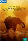 Life at the Waterhole