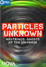 NOVA: Particles Unknown