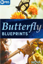 NOVA: Butterfly Blueprints