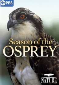 Nature: Season of the Osprey