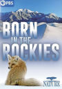 Nature: Born in the Rockies