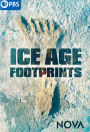 NOVA: Ice Age Footprints
