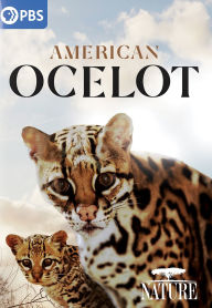 Title: Nature: American Ocelot