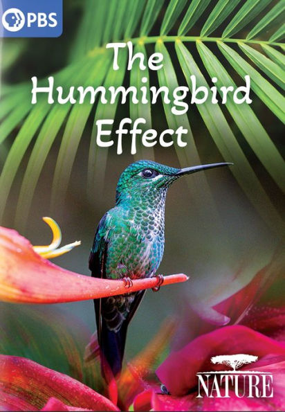 Nature: The Hummingbird Effect