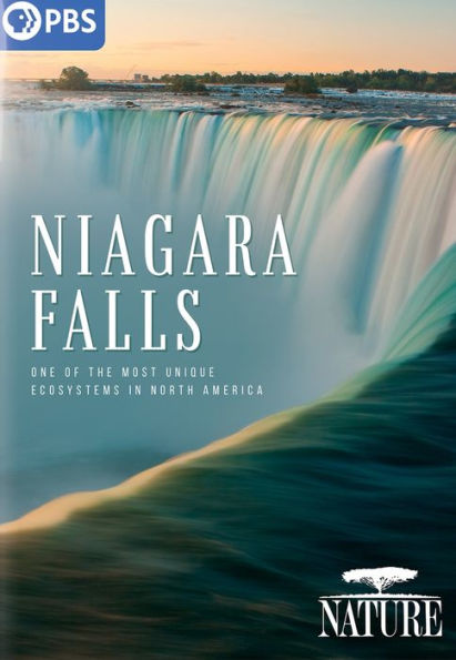 Nature: Niagara Falls