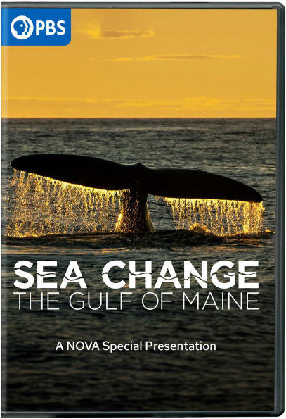 Sea Change: The Gulf of Maine