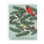 Holiday Boxed Cards Winter Birds Set of 10