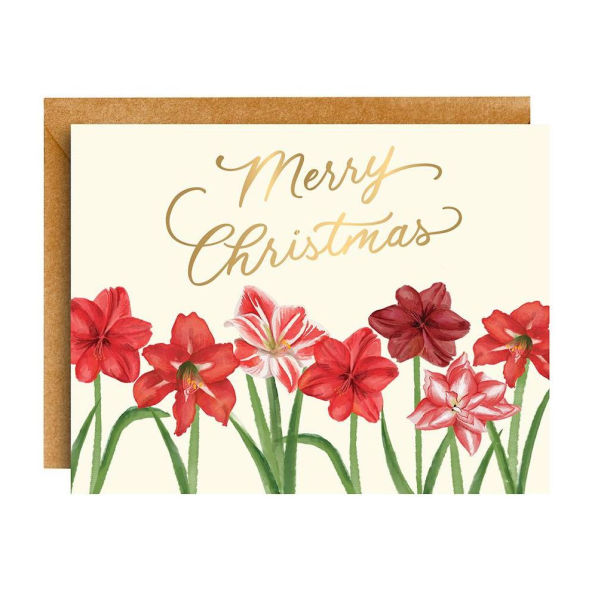 Gold Foil Amaryllis Holiday Card Set