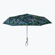 Title: Peacock Umbrella