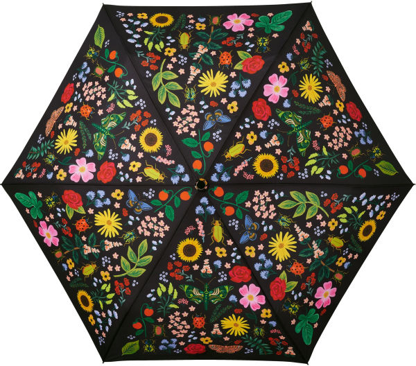 Curio Umbrella
