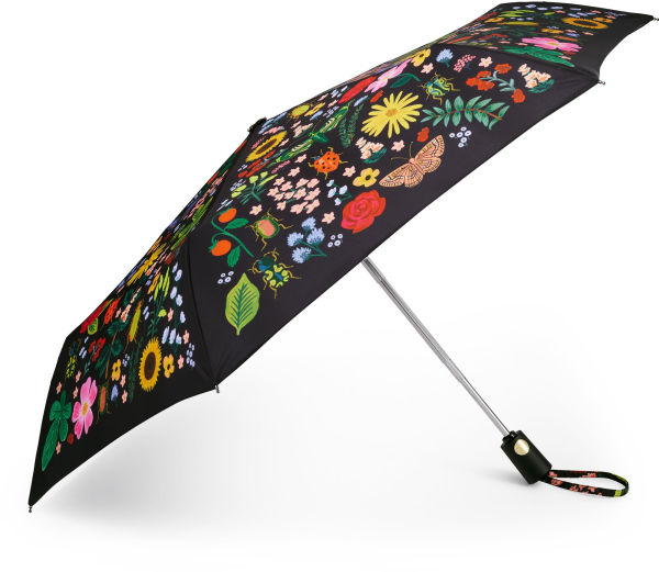 Curio Umbrella