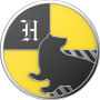 PopSockets Enamel Harry Potter - Hufflepuff