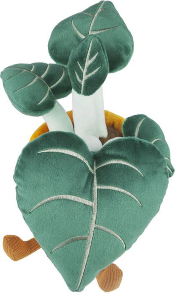 ALOCASIA BLACK VELVET PLUSH